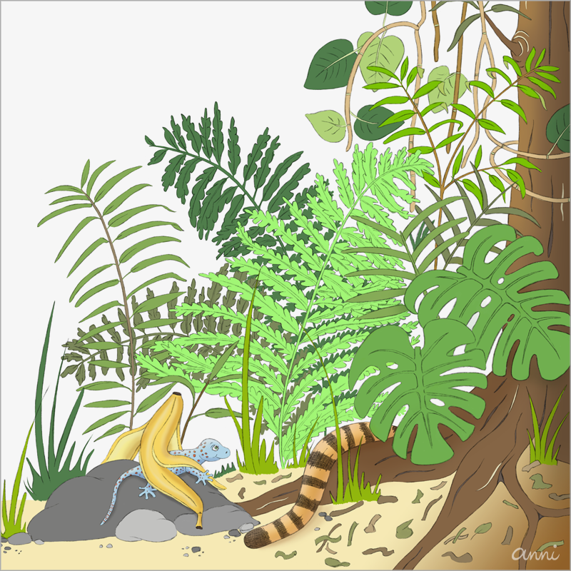 Kinderbuch Tiger Theo Gestrüpp